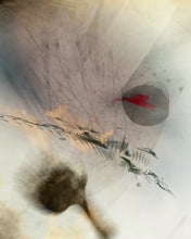 Charger l'image dans la galerie, BÊTA-ENDORPHINE