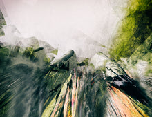 Charger l'image dans la galerie, VALIDITÉ