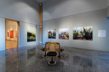 Charger l'image dans la galerie, LA PLUIE IMPLAUSIBLE