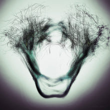 Load image into Gallery viewer, CONNECTIVITY IV