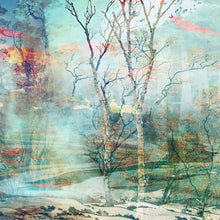 Load image into Gallery viewer, DUAL — BETULA