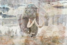 Load image into Gallery viewer, DUAL — MAMMUTHUS
